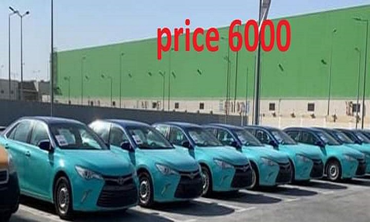 800 cars price 6000 only