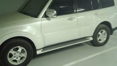 Mistbashi Pajero 2008