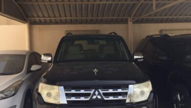 Mitsubishi Pajero 2012